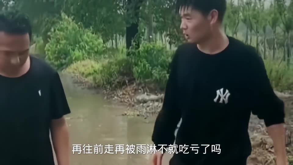 雨这么快就流进脑子里了怪不得变傻了