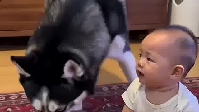 敢欺负少东家