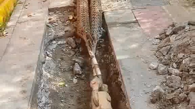 钻进地下