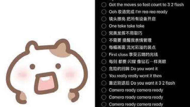 Camera ready！ 和 一起