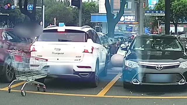 根本看不懂