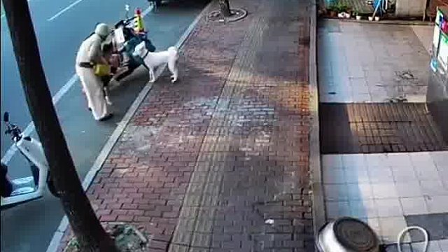还有人说：我这狗不咬人，它只是想跟你玩的话