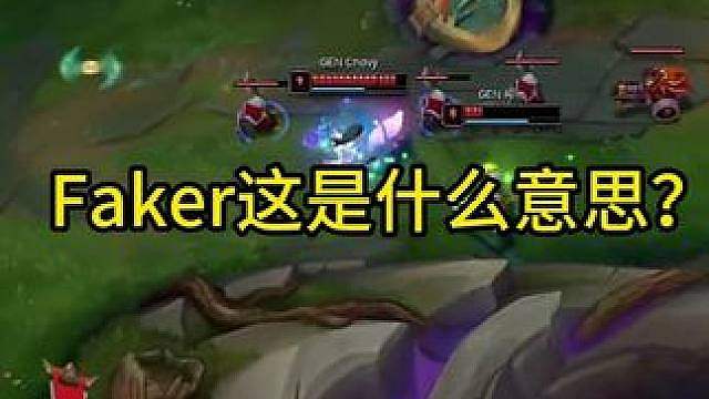 Faker这是什么意思？