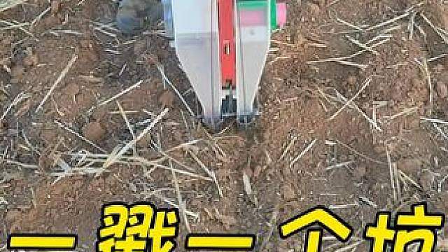 农村手动播种玉米，一戳一个坑 跟同村大叔下地。早上六点出门，晚上七点太阳落山。就这个手动播种机，一戳