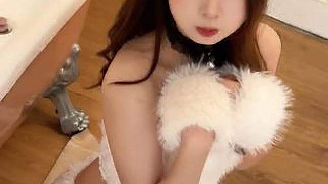 贪吃的小猫咪