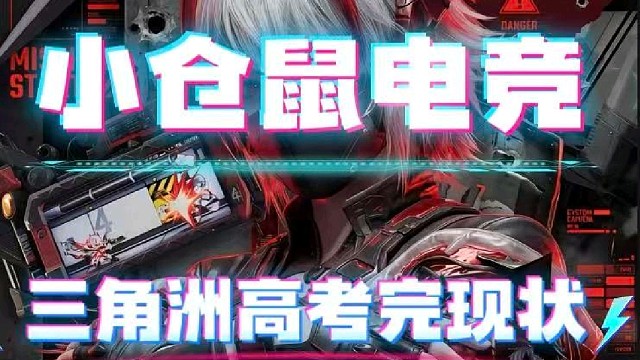 小仓鼠电竞  三角洲护航俱乐部体验单30/