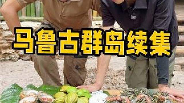 马鲁古群岛续集：升级大型海岛庇护所后，海边探索偶遇一家子龙虾！