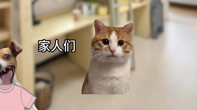 当代大学生的攀比心
#猫meme #万万想不到 #大学生 #内容过于真实 #精神状态belike