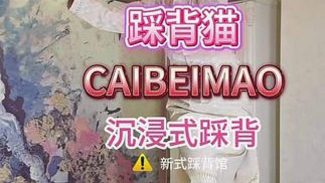 踩背猫沉浸式踩背 踩背猫来上海川沙啦