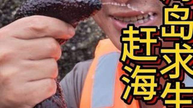 海岛赶海记 这个小伙在海岛赶海，居然抓了满满一堆海参和海胆！快来看看他到底遇到了啥情况