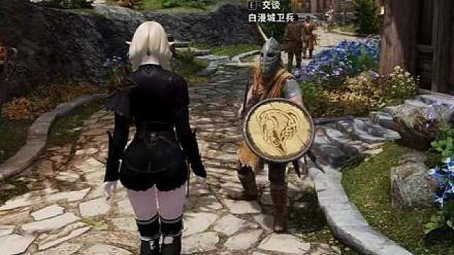 “当我想在NPC身上借点东西，却被卫兵逮到时。。。。”
