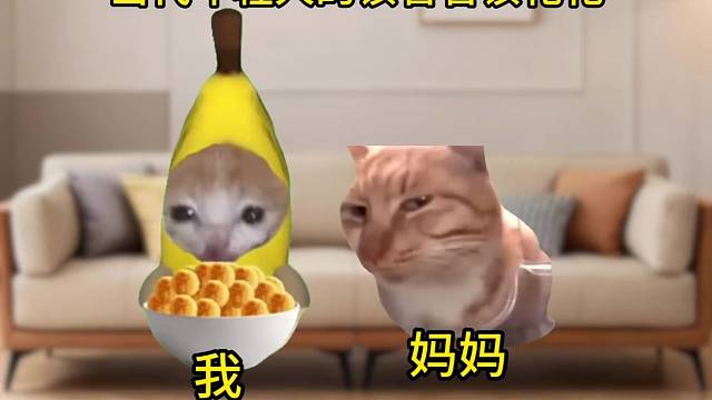 当代年轻人眼里的该省省该花花
#猫meme #内容过于真实 #万万想不到 #大学生