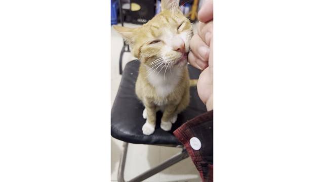 没看出来