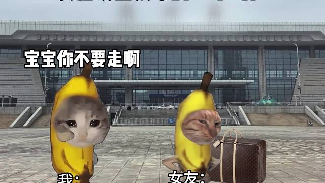 女朋友回娘家的72小时后#猫meme #抽象搞笑