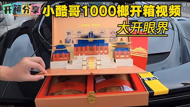 小酷哥1000榔开箱视频，开眼界了。