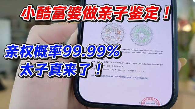 小酷富婆做亲子鉴定！亲权概率99.99%太子真来了