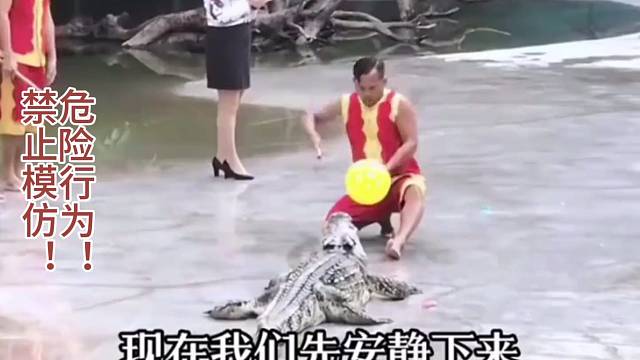 真正的大师！