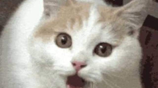 世界就是一个巨大的卡颜局