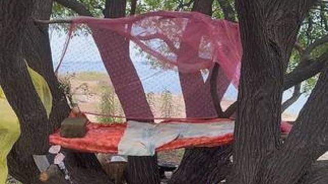 小希的奇妙冒险4 建造别树