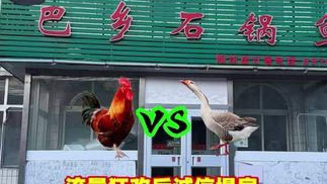 北京鹅腿阿姨加工作坊，鸭腿是怎么变成鹅腿的？