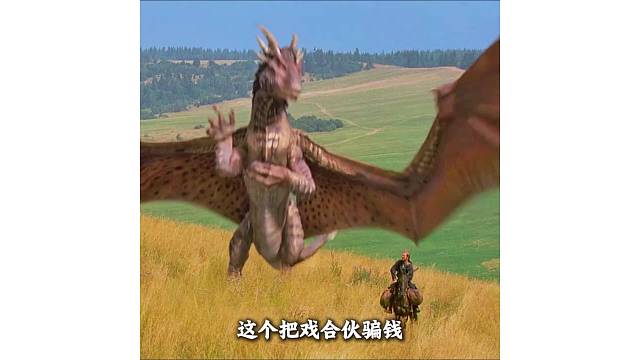 一龙一人合伙行骗
