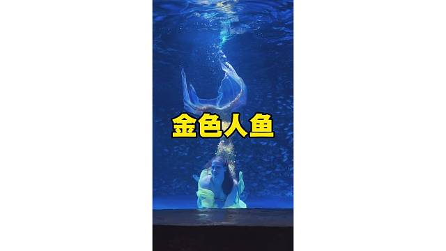 谁能拒绝一尾闪闪发光的金色人鱼