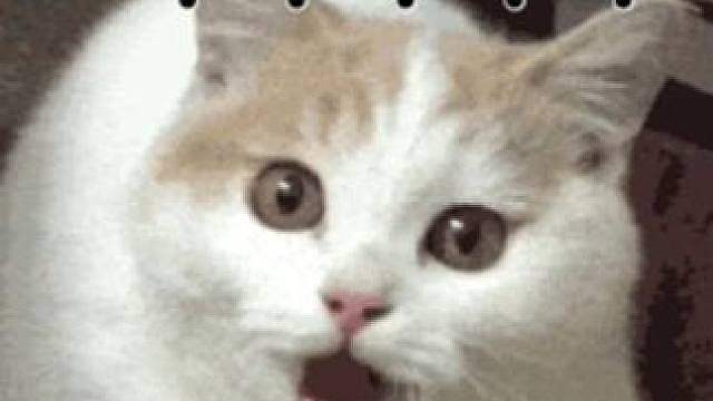 这真不是假肢吗？？？