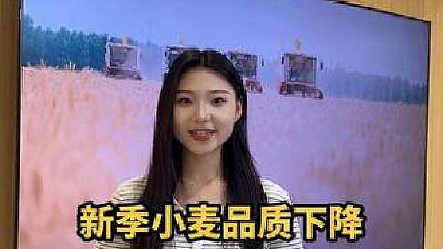 新季小麦品质下降
储备成交分化明显