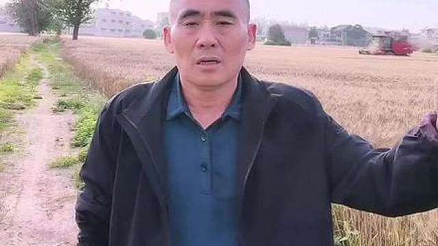 今年收麦太暖心，多项配套服务全部安排到位 河南8500万亩小麦进入收割关键期！降雨在即，龙口夺粮抢手保命，省财政紧急下拨2亿元烘干补贴，每吨补3块，21.5万台收割机上阵，5.3万张跨区作业证发放，农机高速免费，加油优惠，送油到田，上门维修全到位:一喷三防补贴上调，惠农福利集中落地！补贴和备案有截止时间，务必尽快到村委登记，别错过！转发提醒相亲，关注我，天天更新官方一手惠农政策，句句属实！