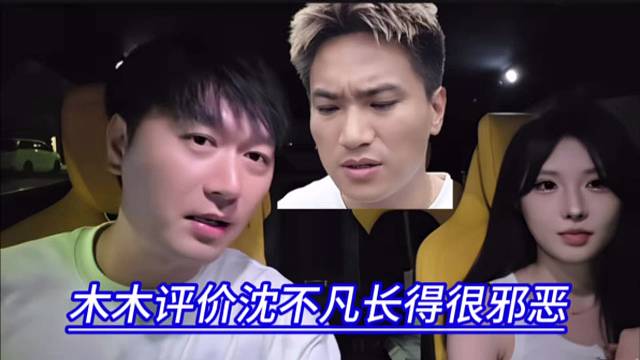 木木评价沈不凡长得很邪恶，凶神恶煞眉。