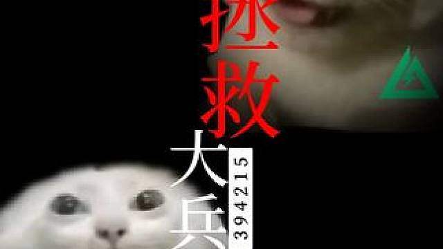 杨氏跑刀法