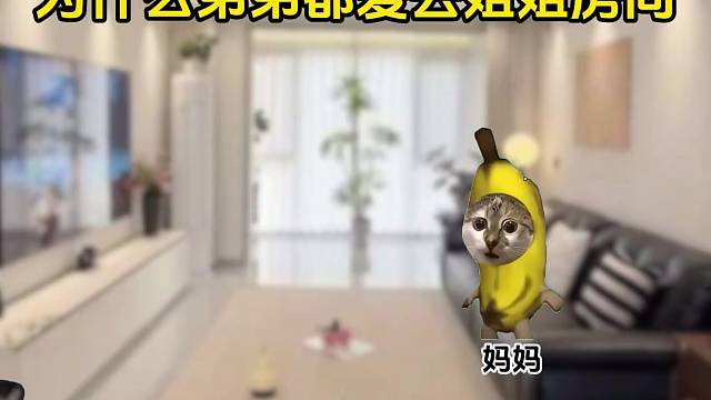 为什么弟弟都爱去姐姐房间 #猫meme #内容过于真实 #万万没想到 #意想不到的结局