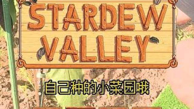 自种小菜园大丰收vlog