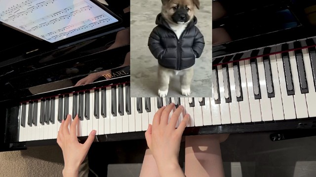 半点心