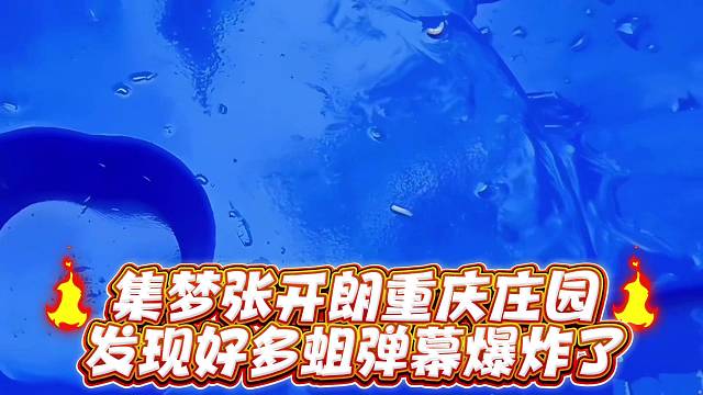 集梦张开郎重庆庄园发现好多蛆弹幕爆炸了