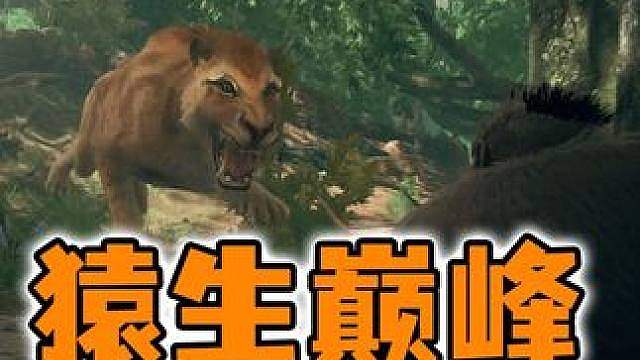 猿神启动第二集：大人时代变了！从唯唯诺诺到重拳出击