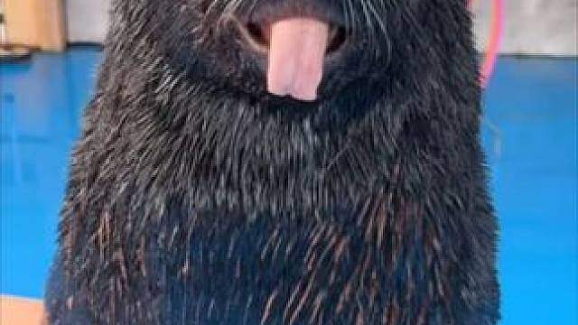 满脸都是不情愿 满脸都是不情愿