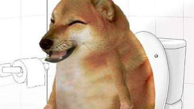 上厕所忘带手机时