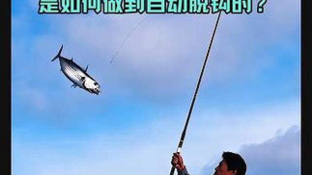 神奇的《一本钓》是如何做到自动脱钩的？看完你就懂了！ 一本钓是日本高知县的传统捕鱼方式，利用独特的L