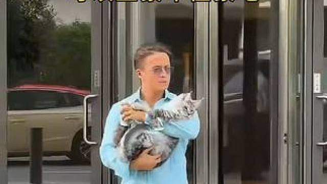 下辈子去迪拜当猫猫狗狗吧，可以坐豪车住豪宅