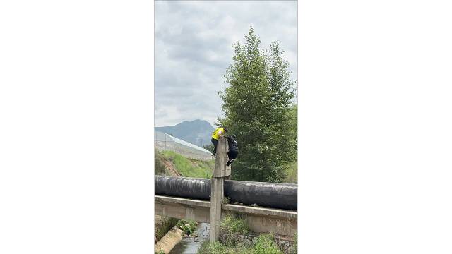 站住！哪里跑