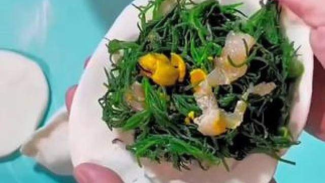 百本之八十的人都不知道这是什么菜 百本之八十的人都不知道这是什么菜