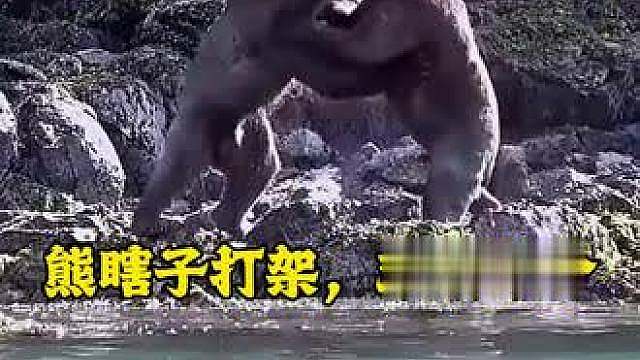竞争无处不在
