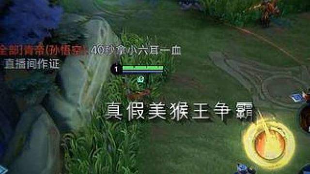 什么情况？