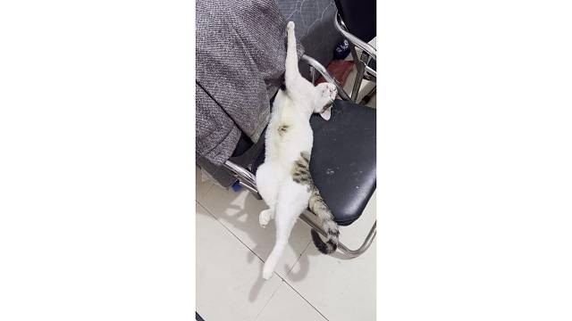 无与伦比