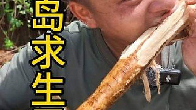 海岛五 下了三天的雨终于停了，今天做了陷阱但愿能抓到很多知了！