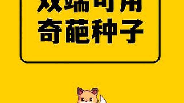 我的世界：一个种子，两种体验，双端都很奇葩的神奇种子！