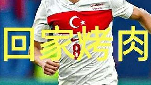 土耳其两连败 提前告别世界杯