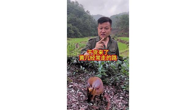 鹿子