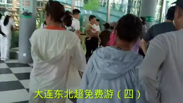 大连东北超免费游（四）